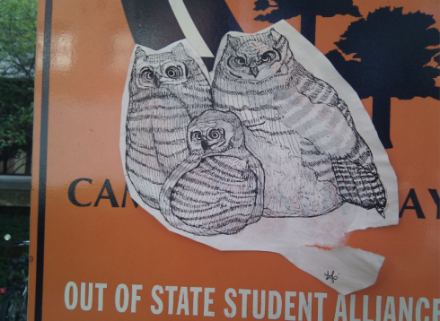 A drawing of Owls is pasted on to a traffic sign.